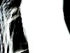 IMG_0475-2ver2.jpg